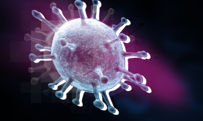 Вирусолог Прельяско заявил о минимальном риске вируса Нипах для туристов