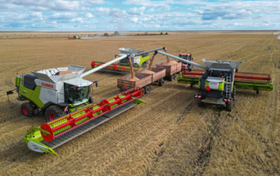 Рекордный урожай маслосемян ожидают в Казахстане