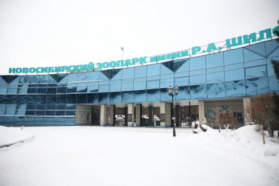 Мэр Максим Кудрявцев: Новосибирский зоопарк расширяется, новые павильоны откроются в 2026 году