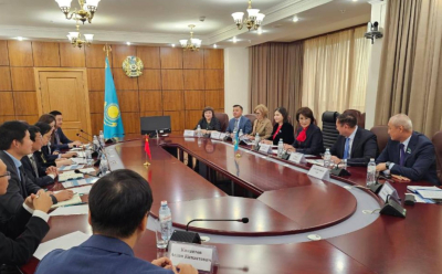 В Астане обсудили модернизацию медицинской инфраструктуры