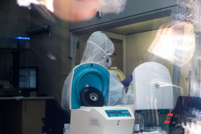 Роспотребнадзор назвал опасные для туристов страны из-за вируса Нипах