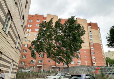 В Гидрометцентре предупредили москвичей о сильном ветре: когда испортится погода