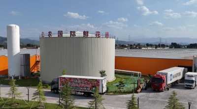 Китайские цветочные компании наращивают свое присутствие в ЦА