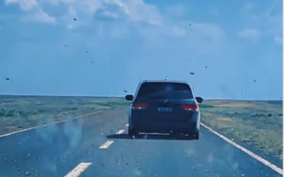Саранча &laquo;атакует&raquo; автомобили в Казахстане