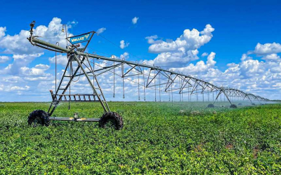 Время поливать: в Северном Казахстане готовы к&nbsp;климатическим невзгодам