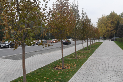 Аким Алматы сообщил о комплексном благоустройстве 11 улиц протяжённостью 49 километров