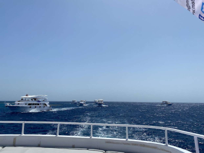 В Египте закрывают пляжи из-за акул