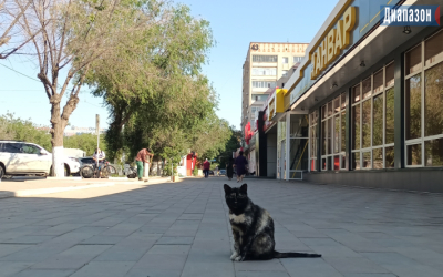 Погода в Актобе на 3-5 августа