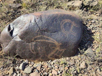 В Алматинской области найдена галерея петроглифов