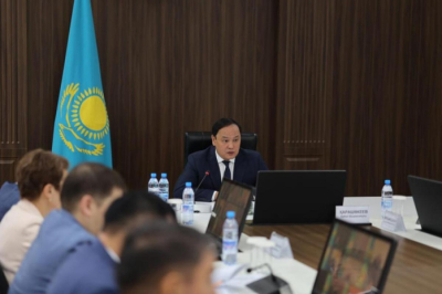 Ербол Карашукеев раскритиковал меры по предотвращению суицидов