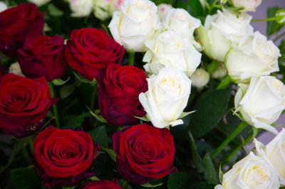 РИА Новости: мошенники стали распространять опасные открытки на 8 Марта