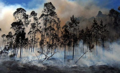 Чрезвычайное положение объявлено в Небраске из-за пожаров в США