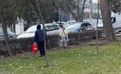 На бульваре Эркиндик разбросали крысиный яд