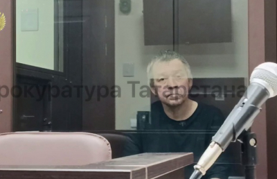 Хозяину атаковавшего ребенка бультерьера в Нижнекамске грозит до восьми лет