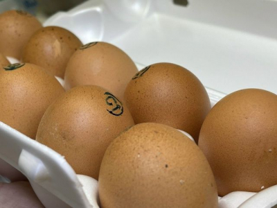 Яйца куриные в Татарстане за год подорожали на 14 процентов