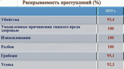 Раскрываемость трех видов преступлений в Татарстане достигла 100%