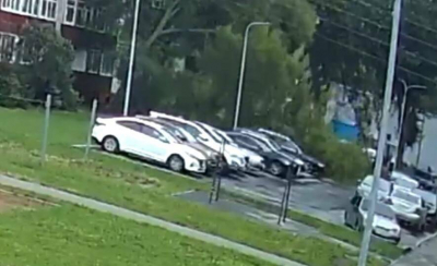На видео попало падение дерева на припаркованные машины в Нижнекамске
