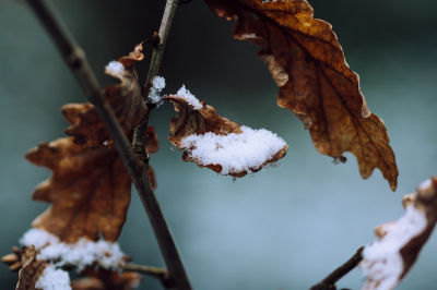 Морозы сменят оттепель: вихрь холодного фронта атакует Москву