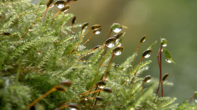 На севере РК резко похолодает, а юг сохранит солнце