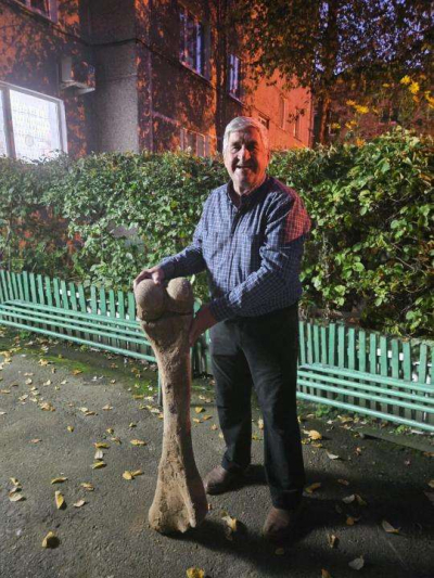 Археологи в СКО нашли кость мамонта возрастом 15 тыс. лет