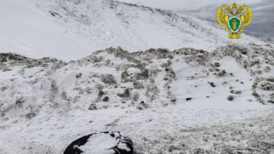 Два маленьких тела под снегом: малышей завалило насмерть во время катания на тюбинге 15/02/2026 &ndash;